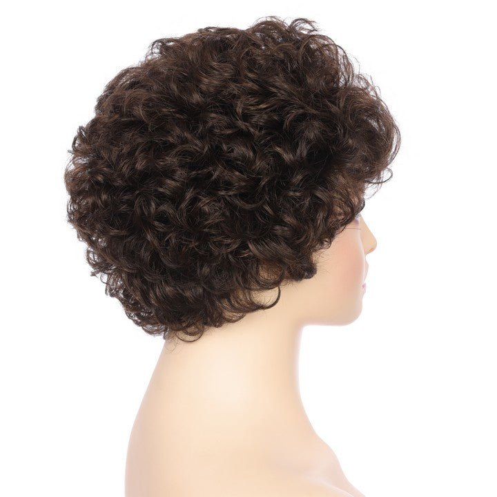Synthetic Short Curly Wig