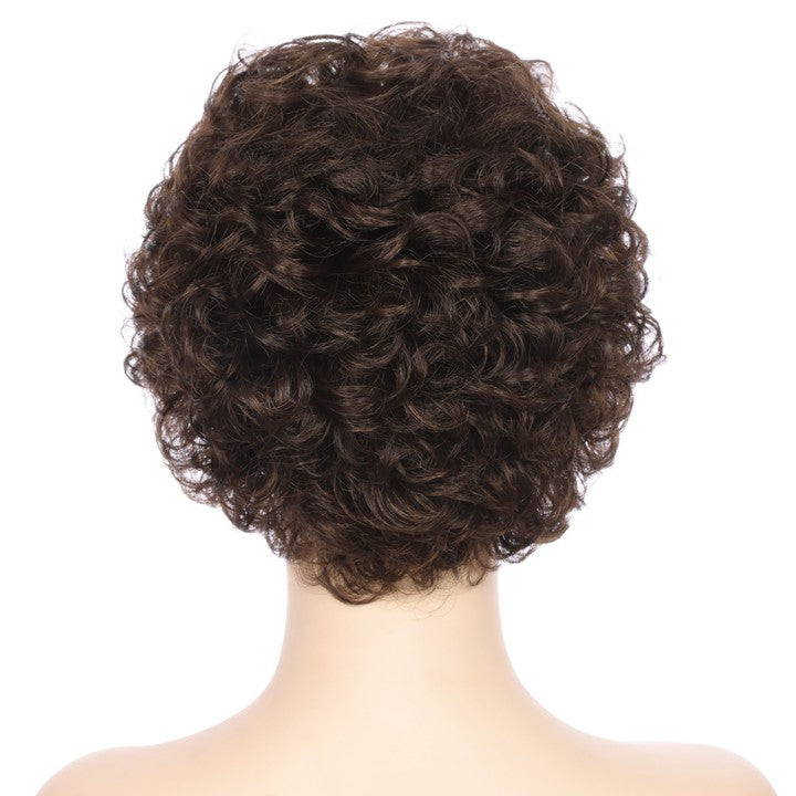 Synthetic Short Curly Wig