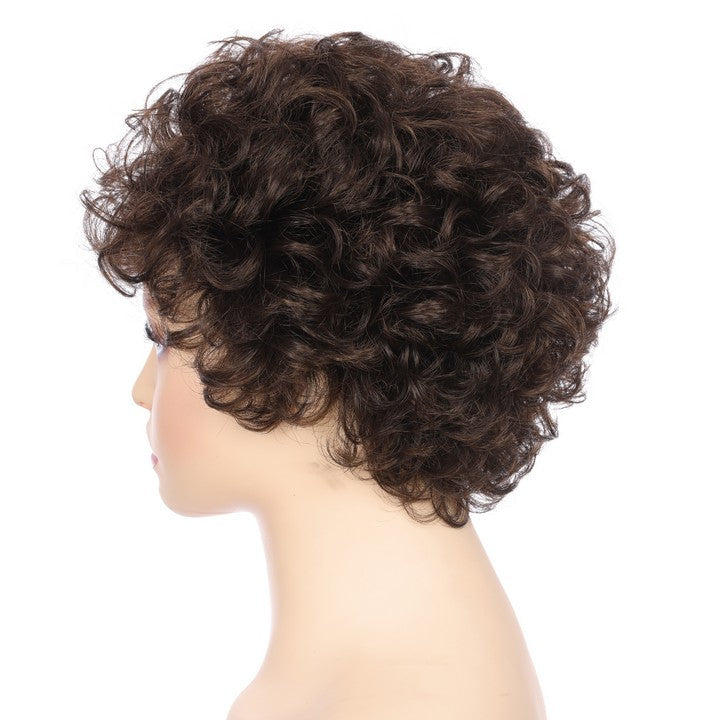 Synthetic Short Curly Wig