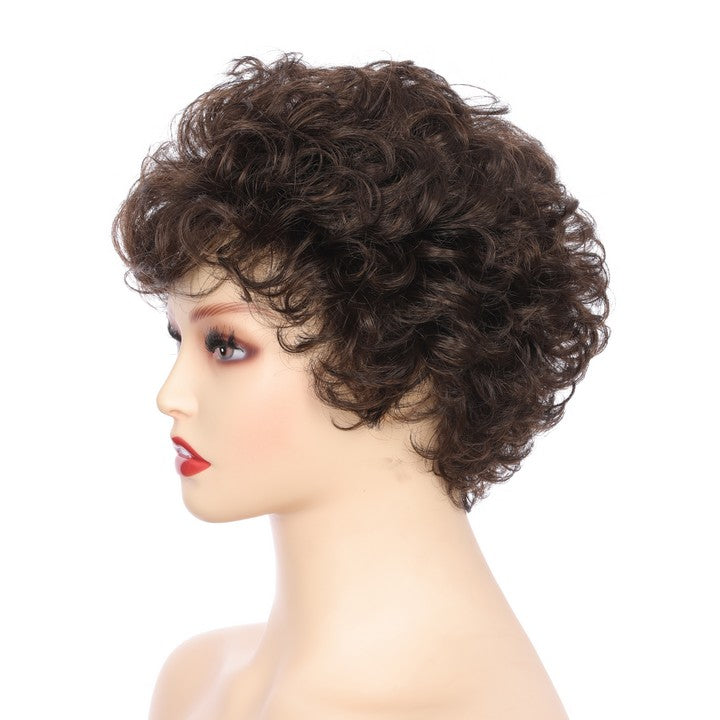 Synthetic Short Curly Wig