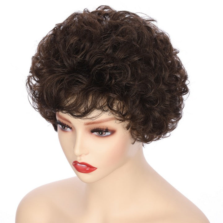 Synthetic Short Curly Wig