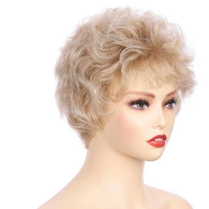 Synthetic Short Curly Wig