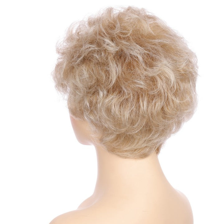 Synthetic Short Curly Wig