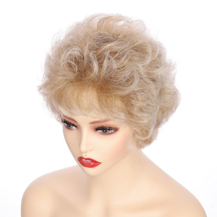 Synthetic Short Curly Wig