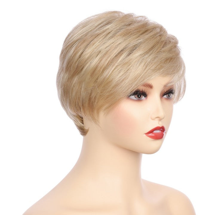 Synthetic Short Curly Wig