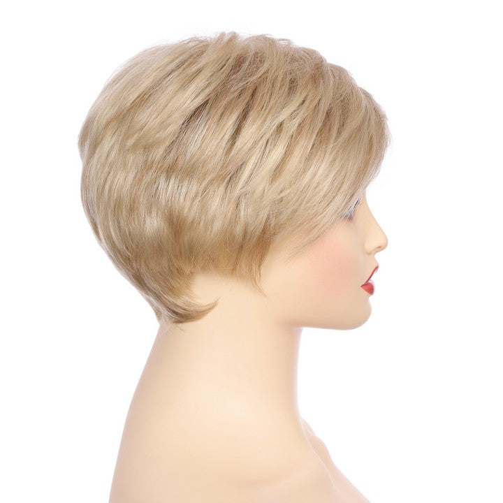Synthetic Short Curly Wig