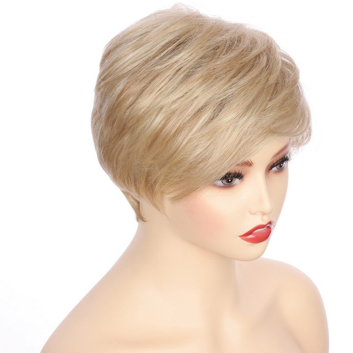 Synthetic Short Curly Wig