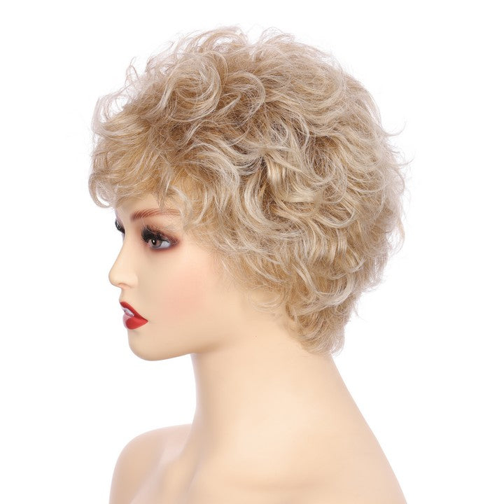 Synthetic Short Curly Wig