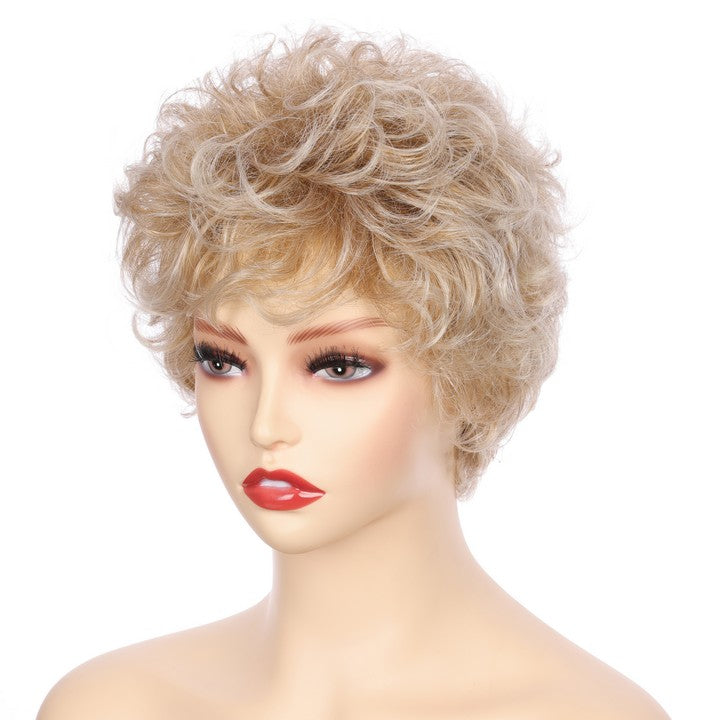 Synthetic Short Curly Wig
