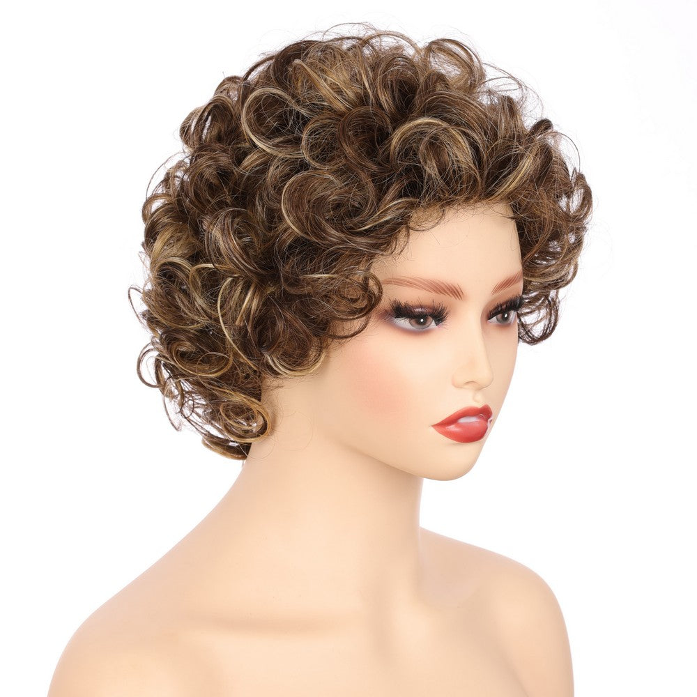Dark Brwon (#R8/25) Synthetic Short Curly Wig