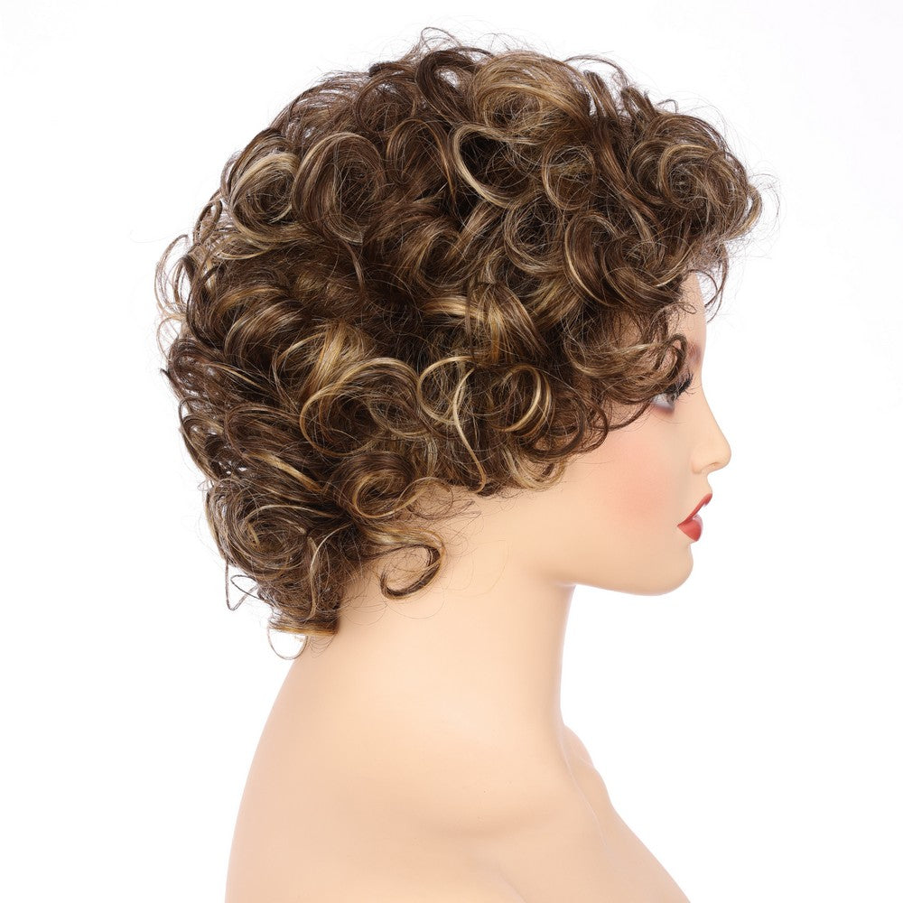 Dark Brwon (#R8/25) Synthetic Short Curly Wig
