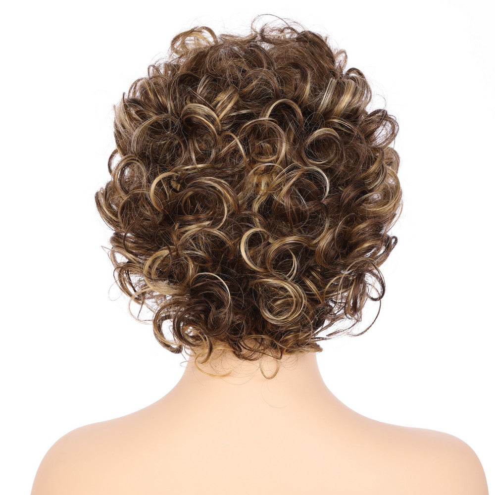 Dark Brwon (#R8/25) Synthetic Short Curly Wig