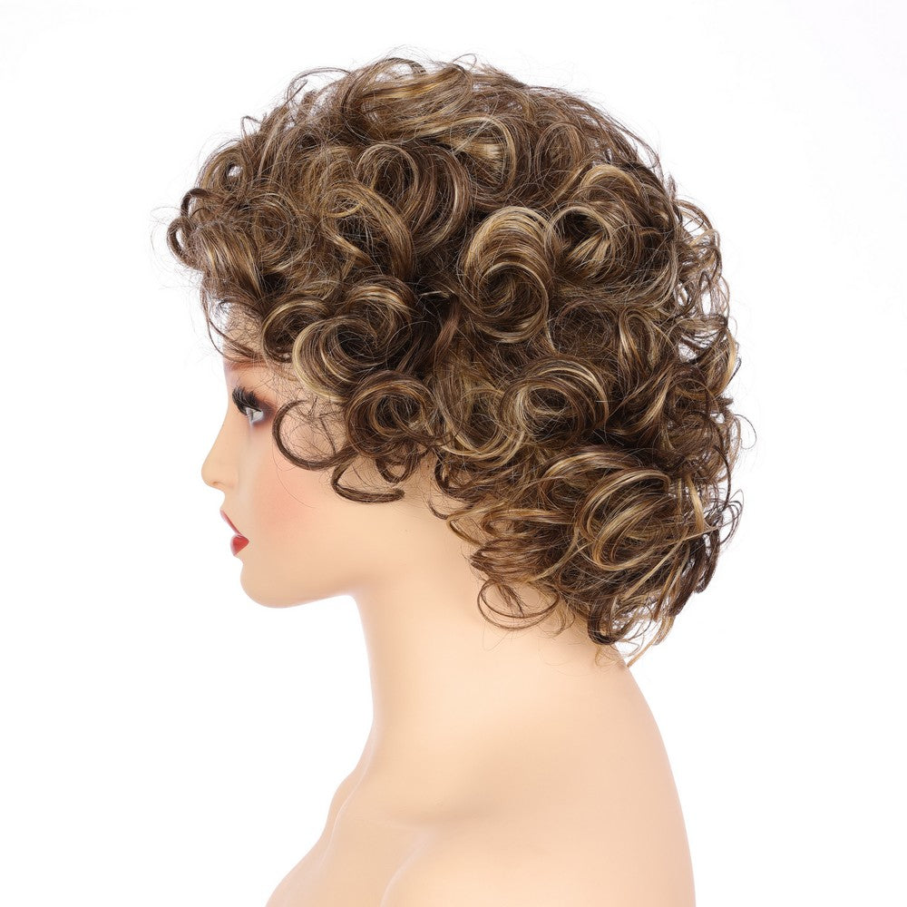 Dark Brwon (#R8/25) Synthetic Short Curly Wig