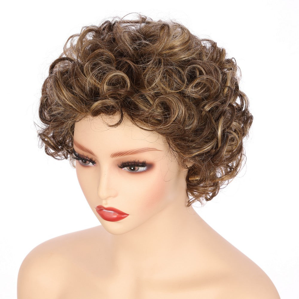 Dark Brwon (#R8/25) Synthetic Short Curly Wig