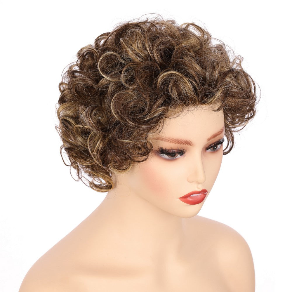 Dark Brwon (#R8/25) Synthetic Short Curly Wig