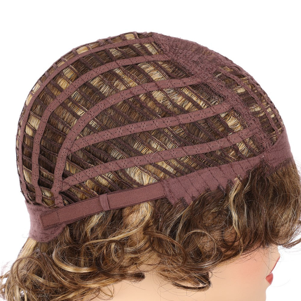 Dark Brwon (#R8/25) Synthetic Short Curly Wig