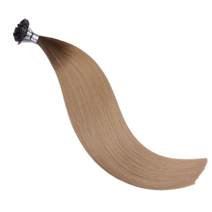 Dark Brown Blonde Tip Hair Extensions