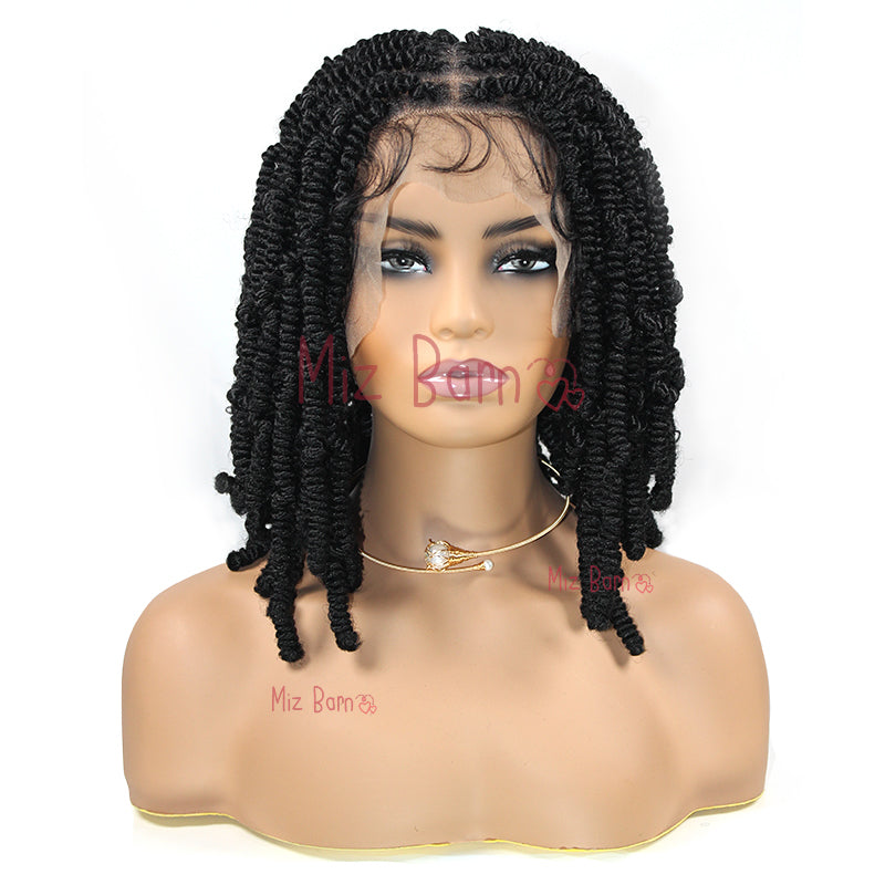 Short 12 Inch Braided Full Lace Front Wigs Synthetic Braided Wig