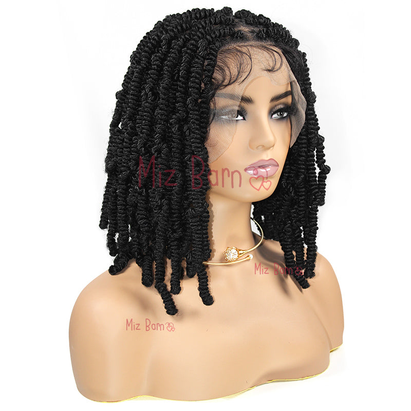 Short 12 Inch Braided Full Lace Front Wigs Synthetic Braided Wig