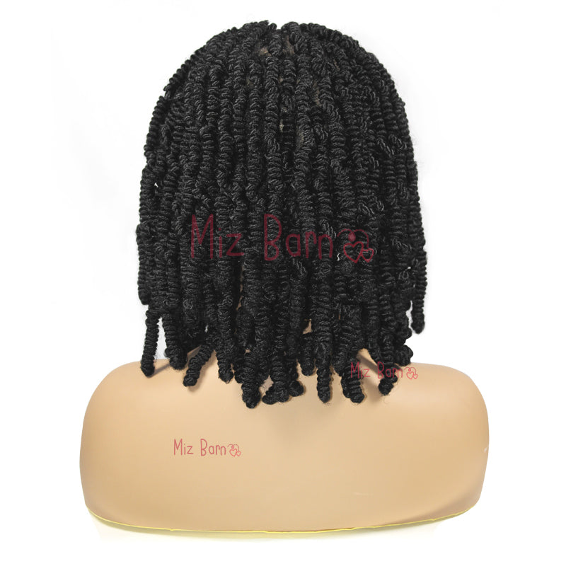 Short 12 Inch Braided Full Lace Front Wigs Synthetic Braided Wig