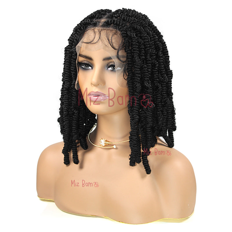 Short 12 Inch Braided Full Lace Front Wigs Synthetic Braided Wig