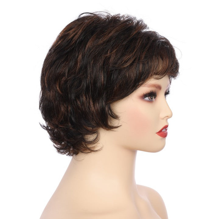 Synthetic Short Curly Wig