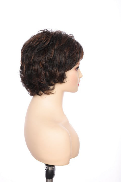 Synthetic Short Curly Wig