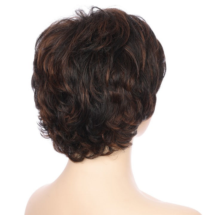 Synthetic Short Curly Wig