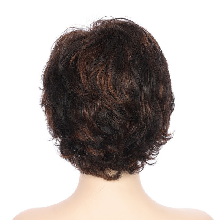 Synthetic Short Curly Wig