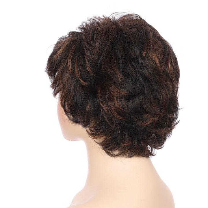 Synthetic Short Curly Wig