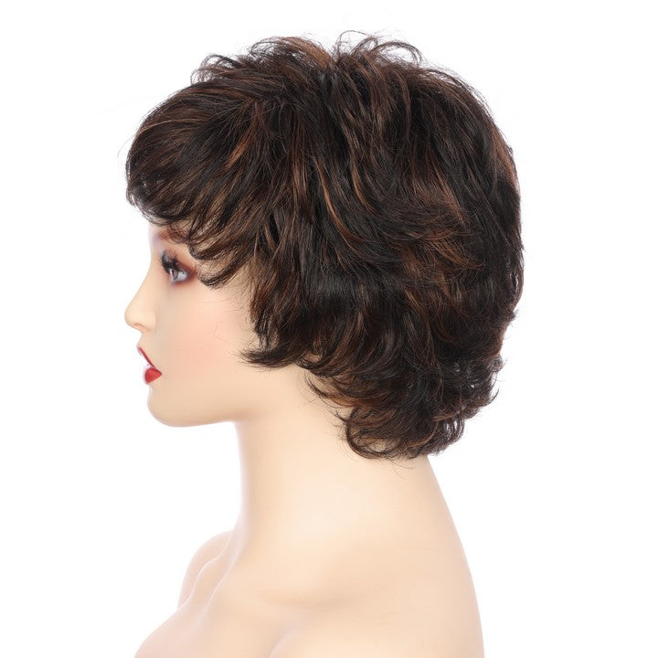 Synthetic Short Curly Wig