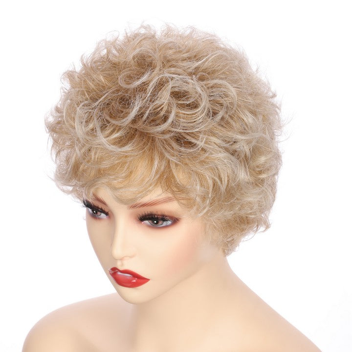 Synthetic Short Curly Wig