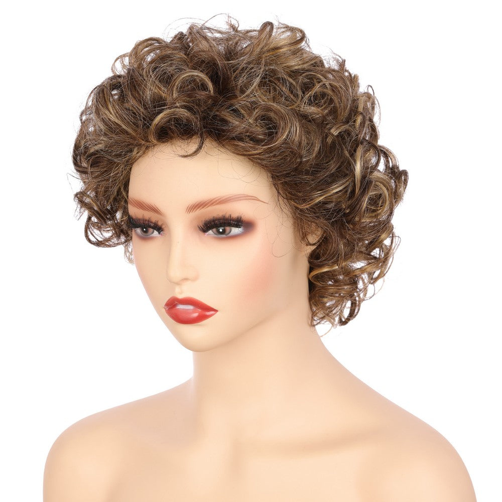 Dark Brwon (#R8/25) Synthetic Short Curly Wig