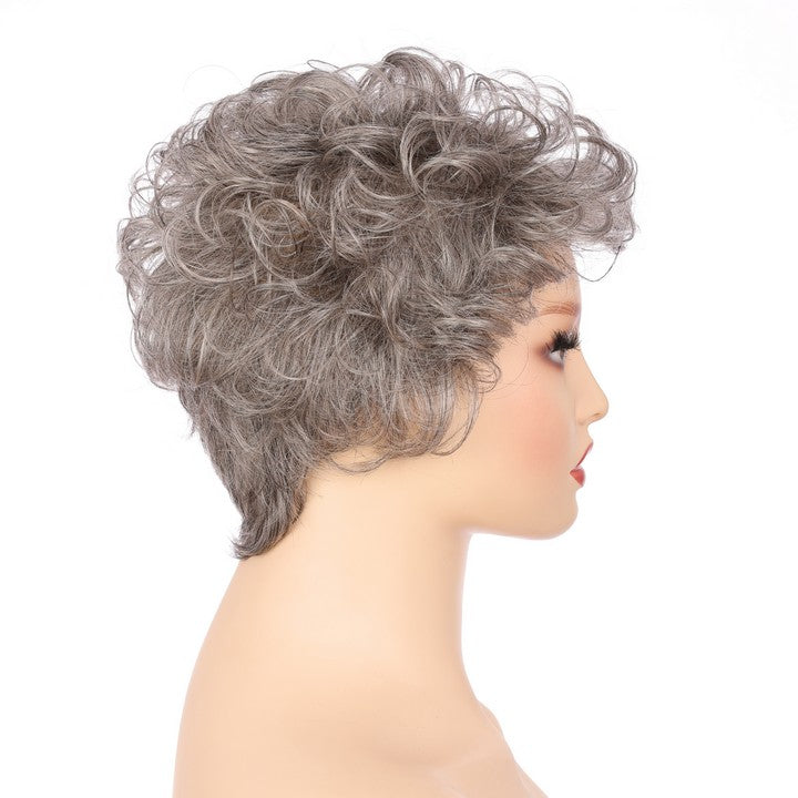 Gray (#58) Synthetic Curly Wig