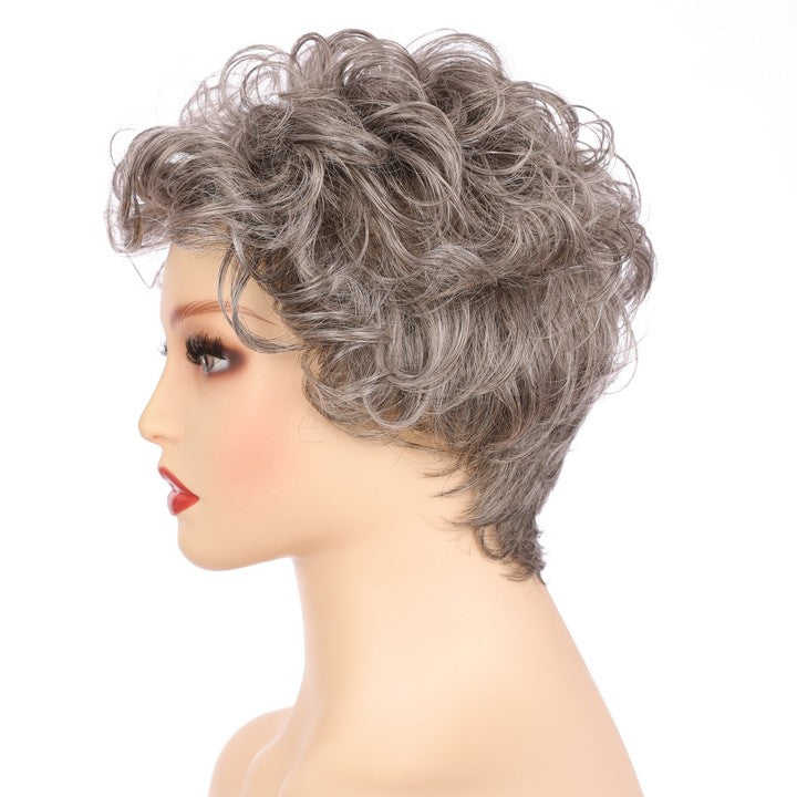 Gray (#58) Synthetic Curly Wig