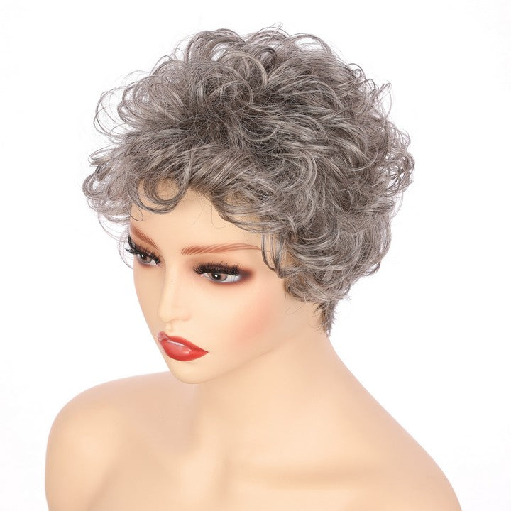 Gray (#58) Synthetic Curly Wig