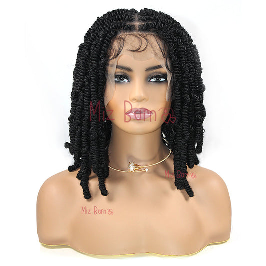 Short 12 Inch Braided Full Lace Front Wigs Synthetic Braided Wig